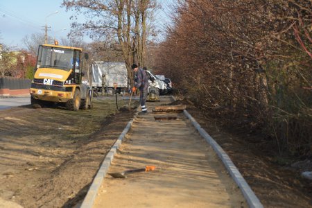 Na zdjęciu od prawej: rząd gęstych krzewów, dalej pas gruntu przygotowywany pod budowę chodnika. Pas został już wydzielony betonowymi krawężnikami. Leży tu łopata, palety po krawężnikach. Pracuje tu jeden robotnik. Dalej w lewo mieści się szeroki pas zieleni porośnięty trawą. W oddali widać rosnące na nim drzewa. Na trawniku stoi ciągnik. Najbardziej po lewej widać fragment ulicy i ogrodzenie posesjo