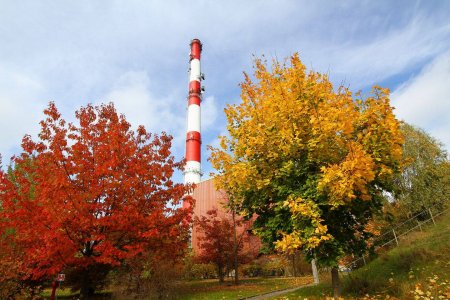 Komin przedsiębiorstwa energetyki cieplnej wystający zza drzew