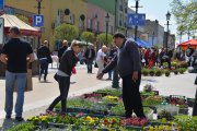 Sprzedawca pokazuje rośliny. Rozmawia z klientką. W oddali stoiska innych sprzedawców, wokół których gromadzi się wiele osób 