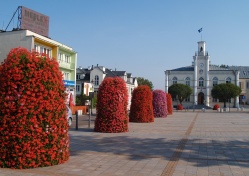 Zagłosuj na Ciechanów!