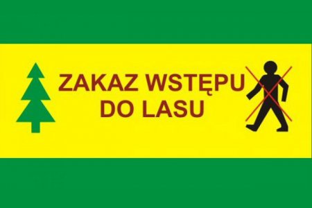 Uwaga! Zakaz wstępu do lasów państwowych