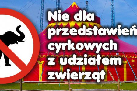 Nie dla przedstawień cyrkowych z udziałem zwierz