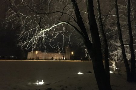 Zdjęcie po zmroku, przedstawiające iluminację drzew na zamkowych błoniach