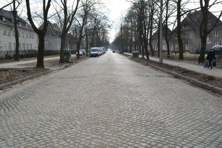 Pokryta zabytkowym brukiem ulica Sienkiewicza. Po obu stronach ulicy rzędy drzew i chodniki oraz poniemieckie bloki