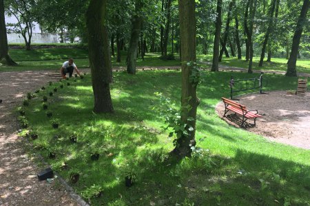 Park. Po prawej ławeczki. Po lewej, na brzegu zaokrąglonego trawnika pracownik sadzi niskie rośliny