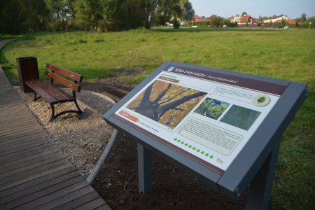 Jeden z pulpitów edukacyjnych ustawionych wzdłuż kładki ułożonej na zamkowych błoniach