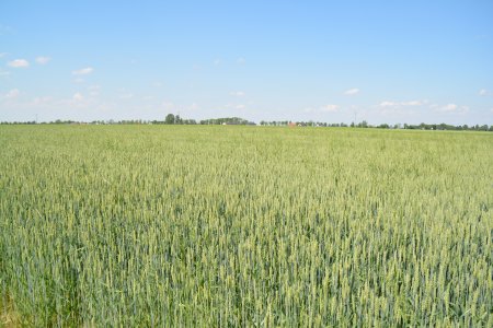 Uwaga rolnicy! Można składać wnioski o szacowan