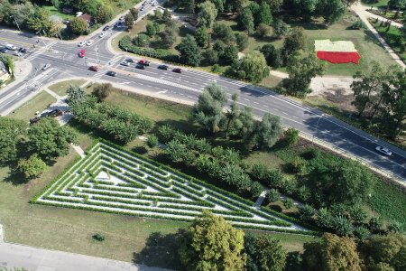 Zielony labirynt na skwerze przy ul. Fabrycznej je