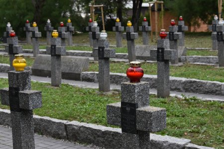 Krzyże Nieznanych Żołnierzy na miejskim cmentarzu. Wykonane z granitu. Na każdym krzyżu jest tabliczka z napisem ilu poległych pod nim spoczywa. Na szczycie każdego z krzyży stoi płonący znicz. Żółty, czerwony lub biały.