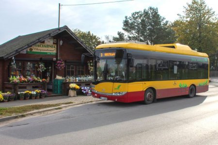 Autobusy komunikacji miejskiej w okresie Wszystkic