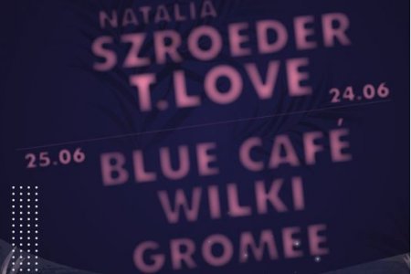 Fragment plakatu promującego dni Ciechanowa z nazwami występujących zespołów i wykonawców: Natalia Szroeder, T.LOVE, Blue Cafe, Wilki, Gromee. Nazwy wykonawców napisano różowymi literami na fioletowym tle.