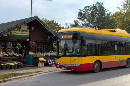 Autobusy komunikacji miejskiej w okresie Wszystkic