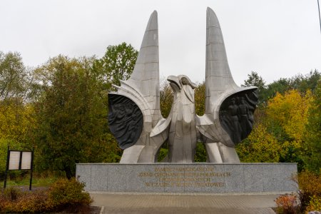 Pomnik poświęcony Pamięci Mieszkańców Ziemi Ciechanowskiej Poległych i Pomordowanych w czasie II Wojny Światowej. Taki napis znajduje się na niskim, szerokim granitowym postumencie, na którym stoi popiersie orła z dumnie uniesionym dziobem i głową skierowaną w lewo (w lewo patrzącego na zdjęcie). Skrzydła orła przypominają skrzydła samolotu, ale nie są poziomo rozłożone na boki. Sterczą pionowo, sięgając wysoko ponad głowę orła. Na skrzydłach na wysokości piersi orła znajdują się ciemne płaskorzeźby, przedstawiające walczących i ginących żołnierzy. Po lewej stronie pomnika stoi tablica informacyjna. Placyk przed pomnikiem wyłożono kostką. Pomnik stoi na tle bujnej jesiennej już zieleni zespołu przyrodniczo-krajobrazowego Dolina Rzeki Łydyni.