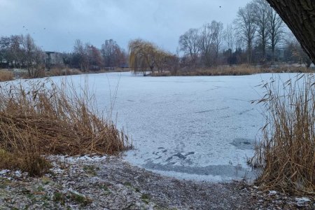 Zamarznięty zbiornik wodny. Powierzchnia lodu jest biała. Wokół zbiornika rosną drzewa i krzewy.