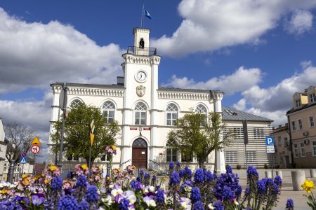 Piękne ujęcie ciechanowskiego ratusza w kadrze. Jest słoneczna pogoda. Zdjęcie wykonano z dołu, zza klombu z kolorowymi, wiosennymi kwiatami: szafirkami, bratkami, żonkilami... Ratusz stoi na tle błękitnego nieba, po ktorym płyną wielkie białe puchate chmury.