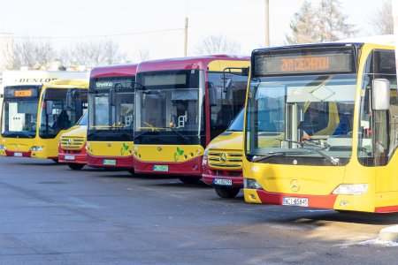 Na placu Zakładu Komunikacji Miejskiej stoi obok siebie 6 nowych żółto-czerwonych autobusów. Różnią się od siebie wielkością i oznaczeniami. Stoją tu cztery duże i dwa małe autobusy (na trasy mniej uczęszczane przez pasażerów). Dwa z dużych autobusów mają na przodzie zielone gałązki z listkami.